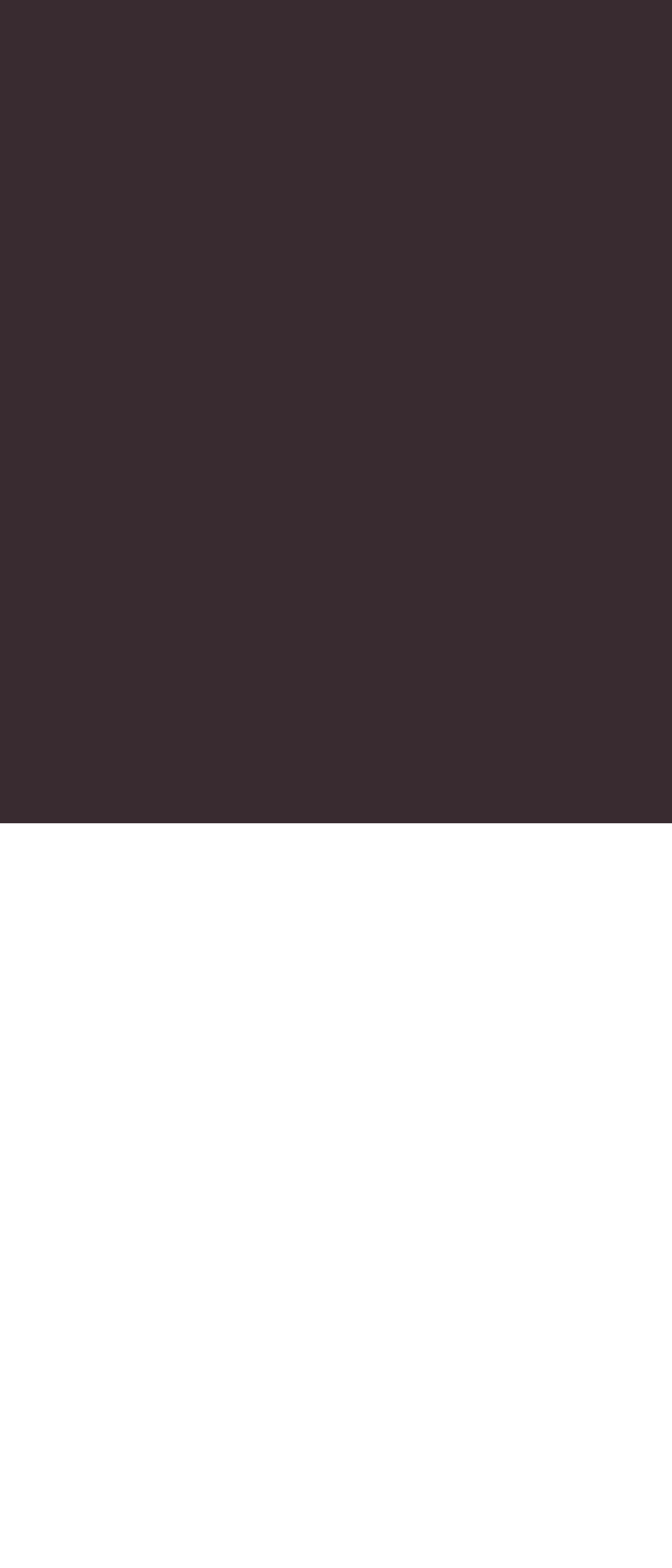 Solid dark brown color swatch