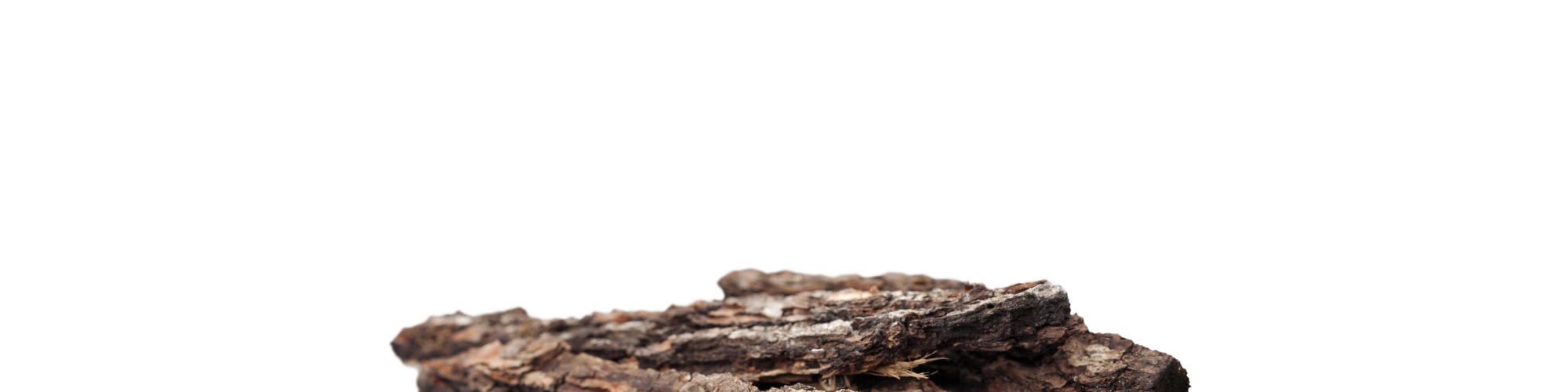 Oud base notes on a white background