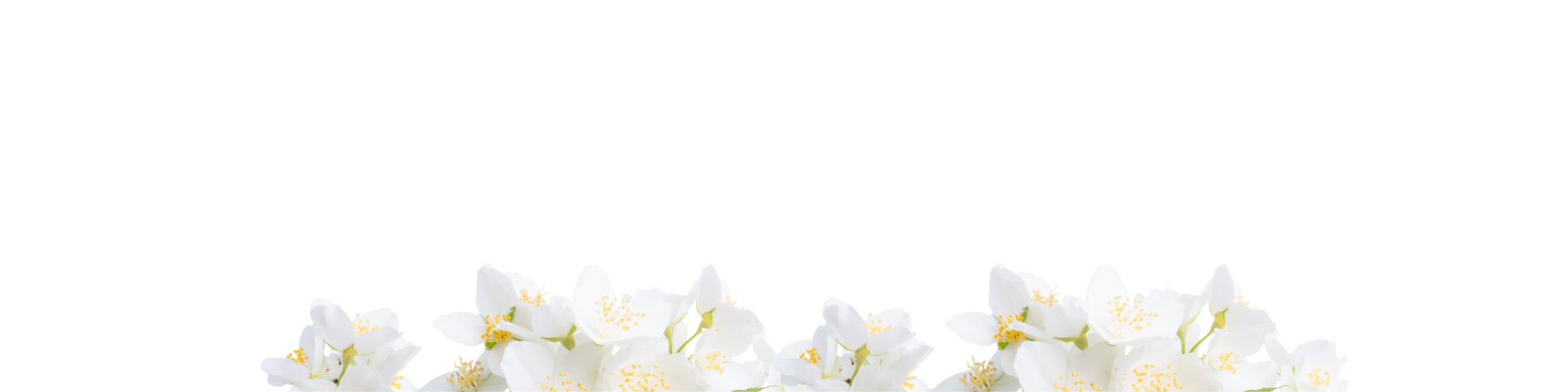 Heart notes with border of white Jasmines flowers on a white background.
