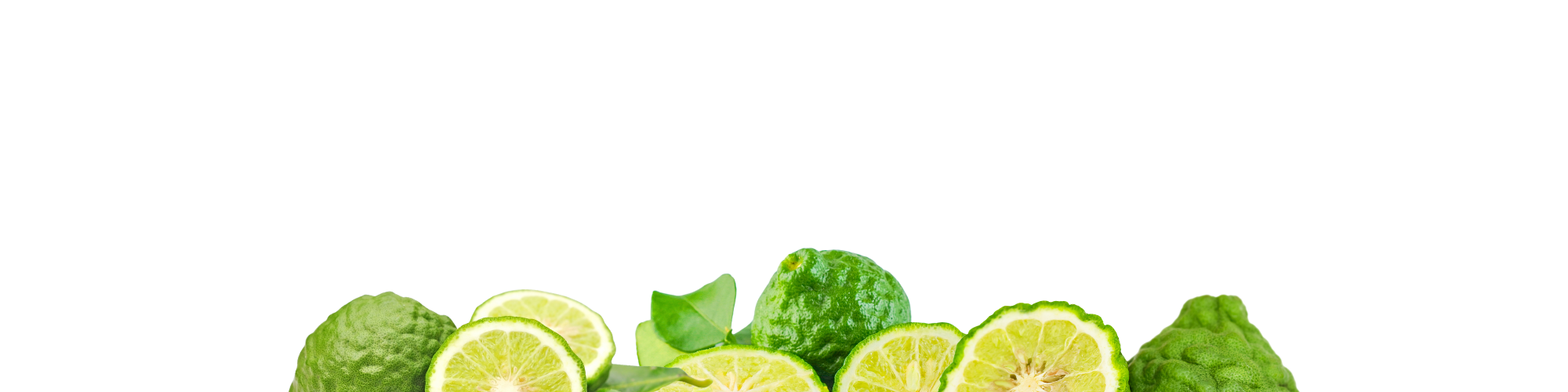 Bergatmot on a white background representing the top notes.