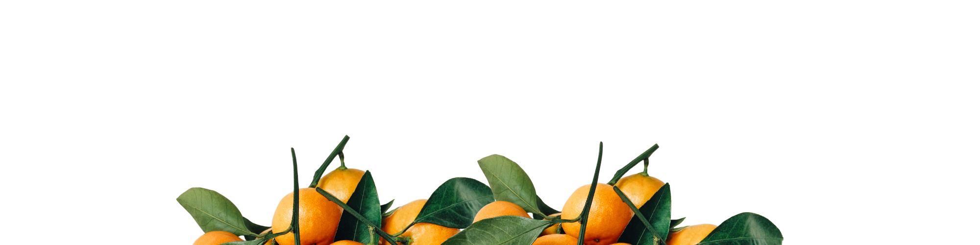 TANGERINE with green leaves on a white background.